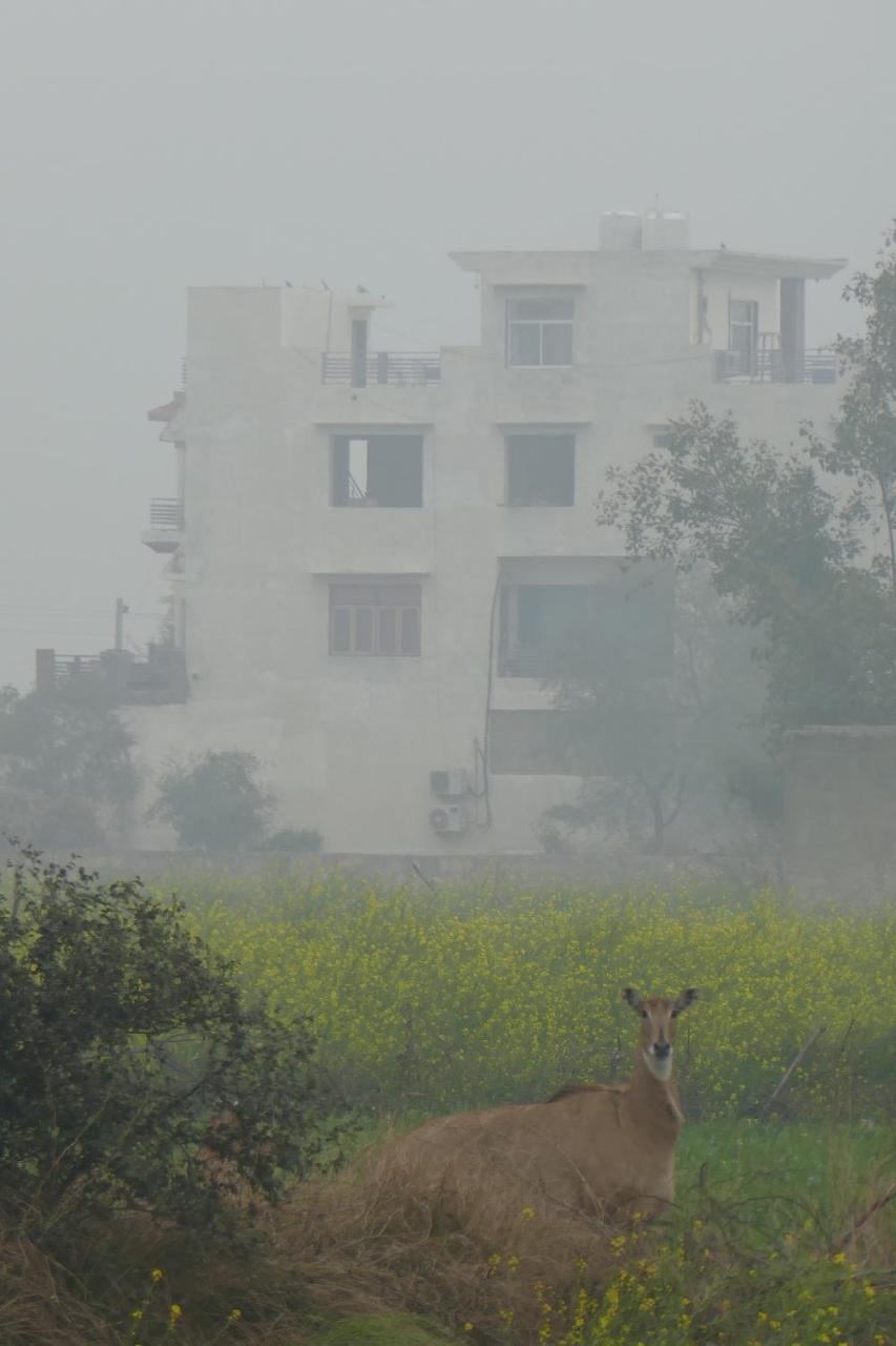 Ibishouse Farm Stay Bharatpur Exterior foto